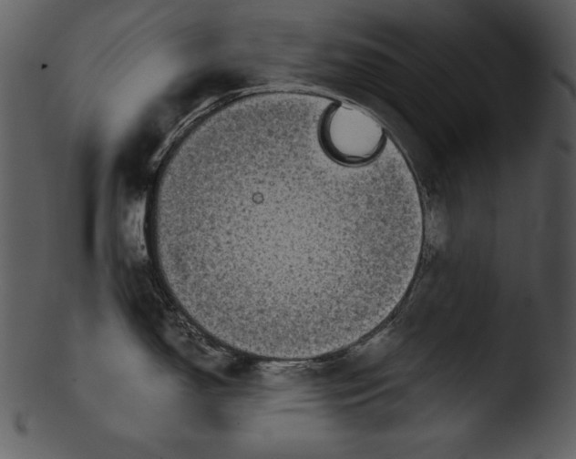 X0000103221150200809251129