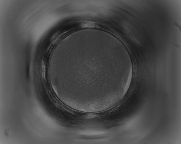 X0000103221151200809251129