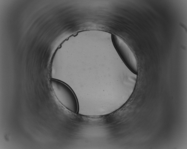 X0000103221152200809251129