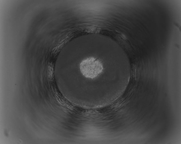 X0000103221154200809251129