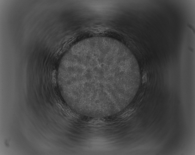 X0000103221156200809251129