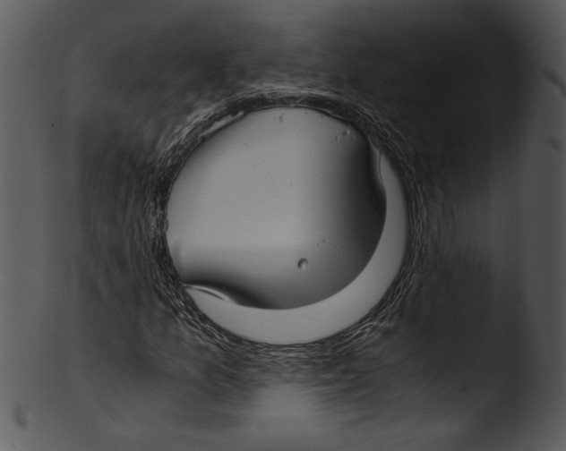 X0000103221157200809251129