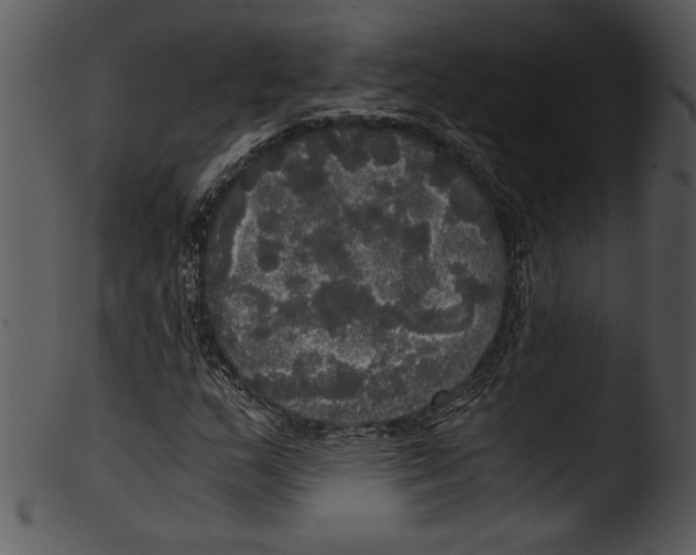 X0000103221159200809251129