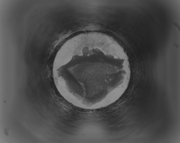 X0000103221160200809251129