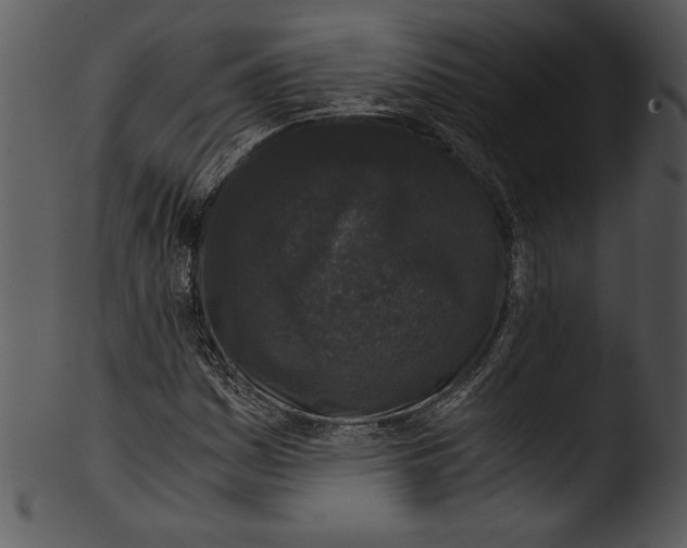 X0000103221161200809251129