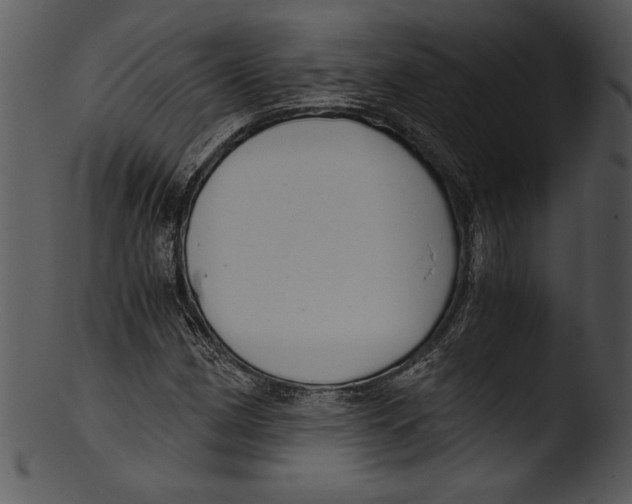 X0000103221162200809251128