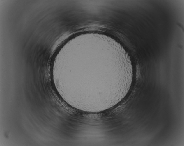 X0000103221164200809251128