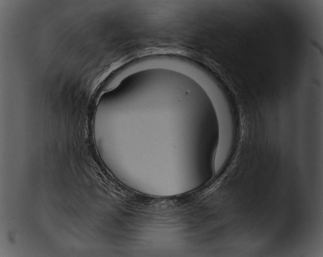 X0000103221165200809251128