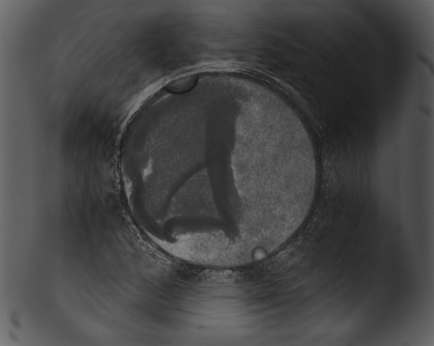 X0000103221168200809251128