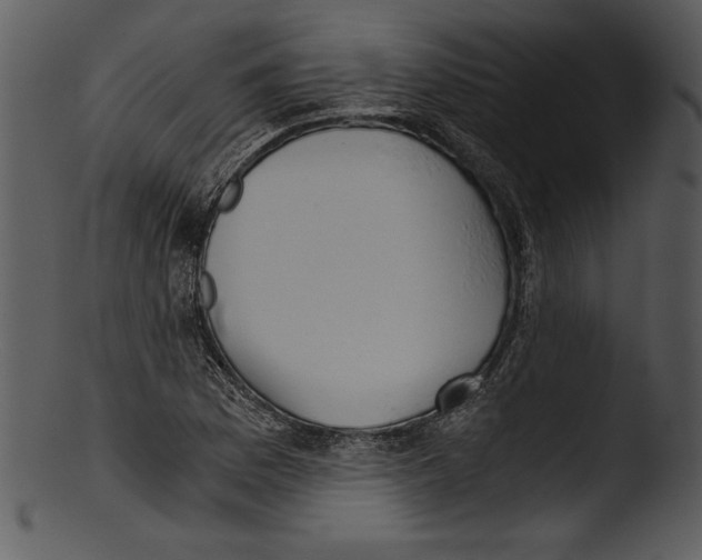 X0000103221169200809251128