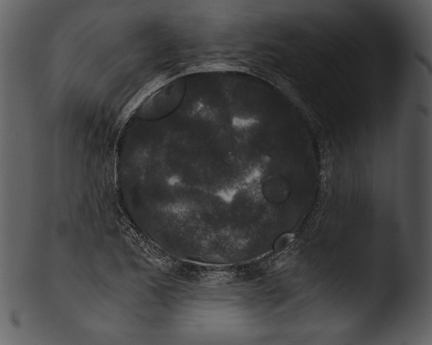 X0000103221173200809251128