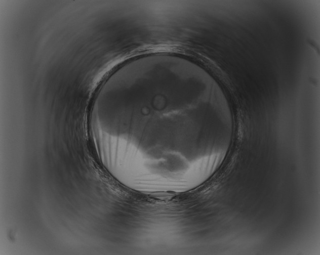 X0000103221174200809251128