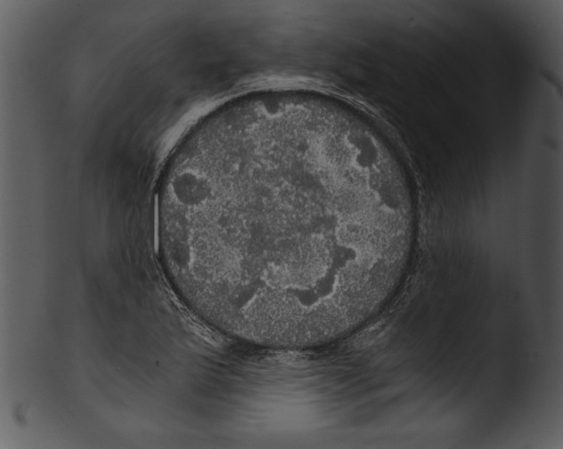 X0000103221175200809251128