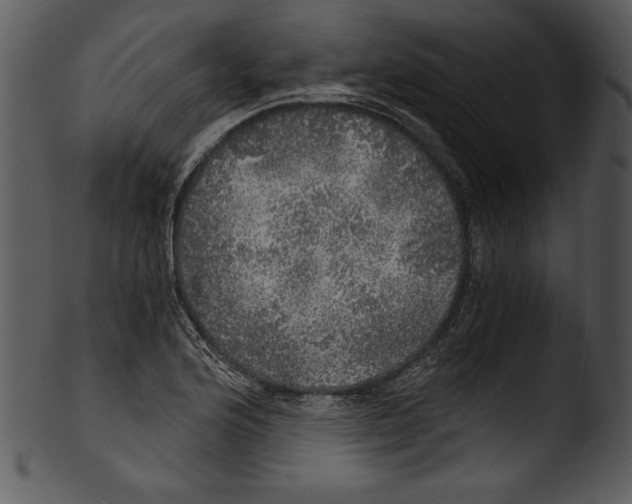 X0000103221176200809251128