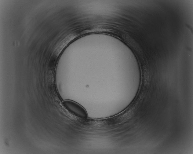 X0000103221177200809251128