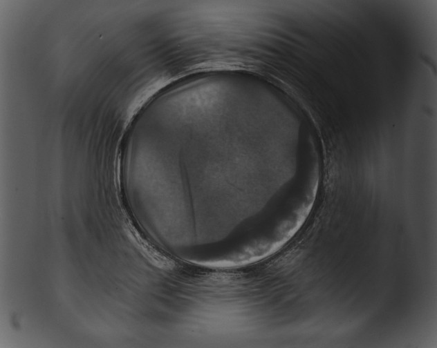 X0000103221179200809251128