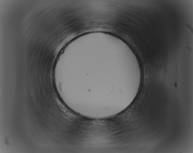 X0000103221181200809251128