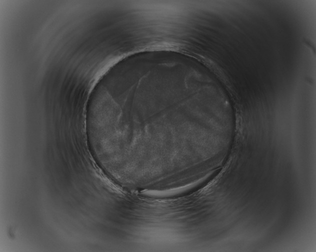 X0000103221184200809251128