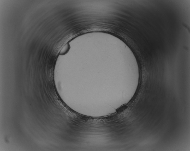 X0000103221185200809251128