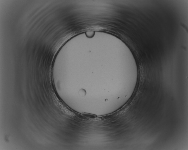 X0000103221186200809251128