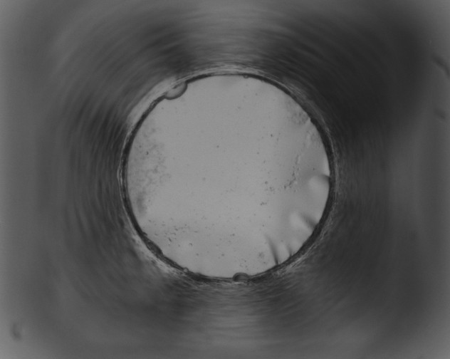 X0000103221189200809251128