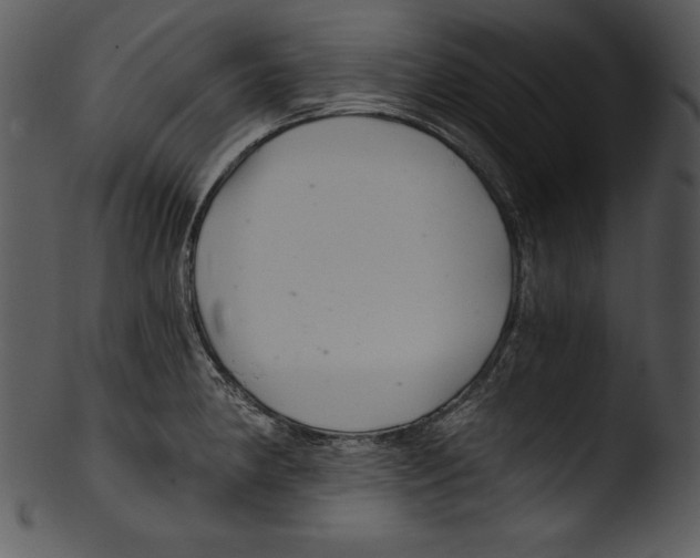 X0000103221190200809251128