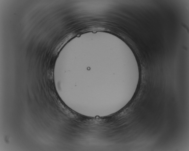 X0000103221193200809251128