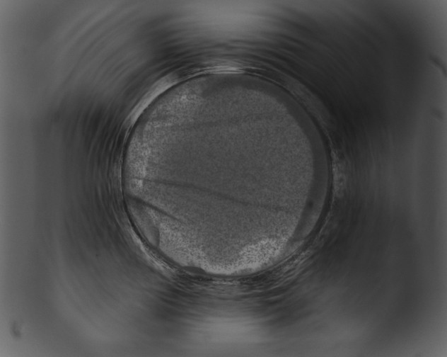 X0000103221194200809251128