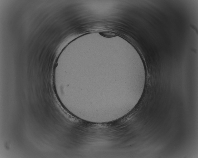 X0000103221195200809251128