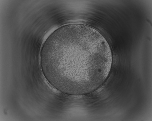 X0000103221196200809251128