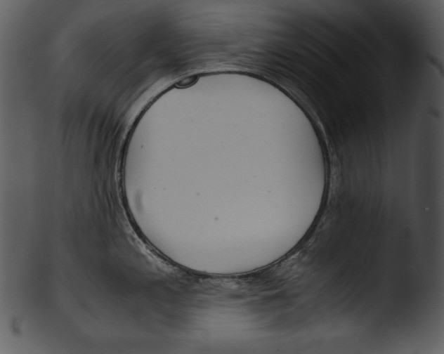 X0000103221197200809251128