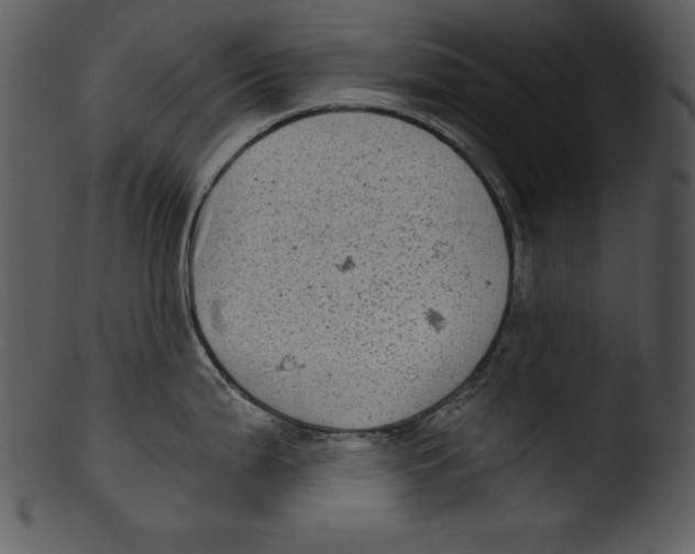 X0000103221199200809251128