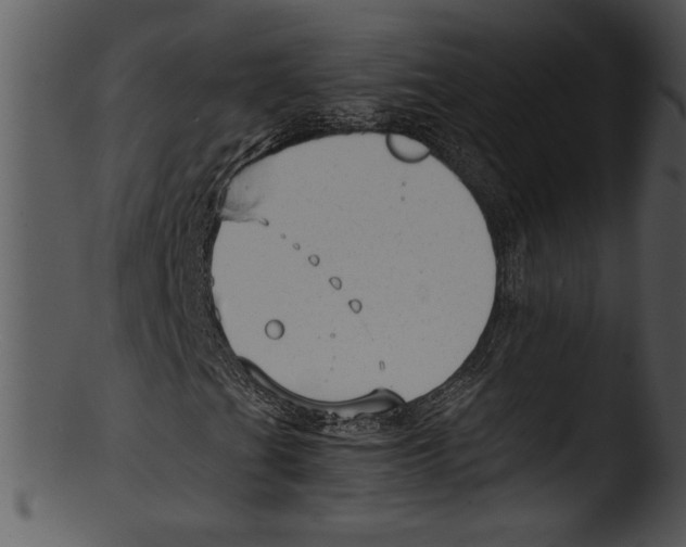 X0000103221201200809251127