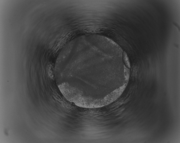 X0000103221202200809251127