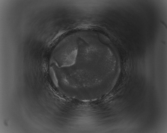 X0000103221206200809251127