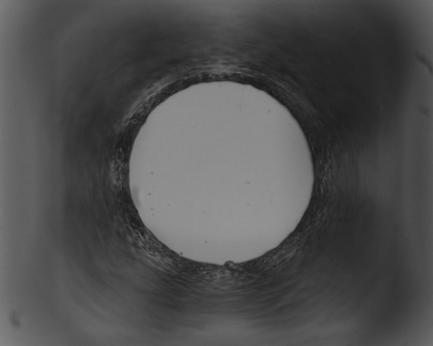 X0000103221207200809251127