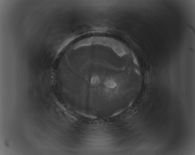 X0000103221208200809251127