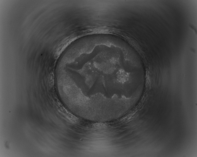 X0000103221212200809251127