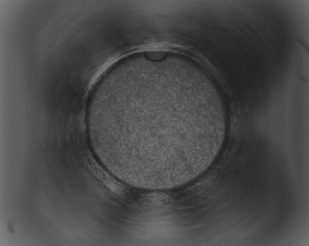 X0000103221216200809251128