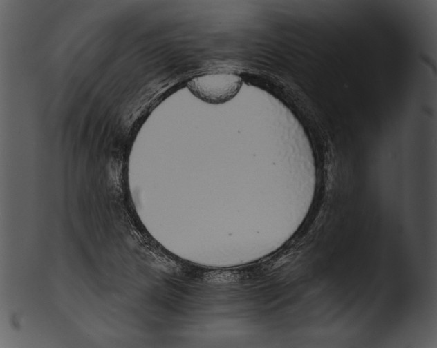 X0000103221217200809251128