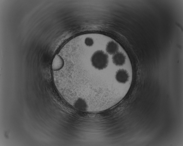 X0000103221218200809251128