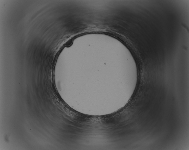 X0000103221220200809251128