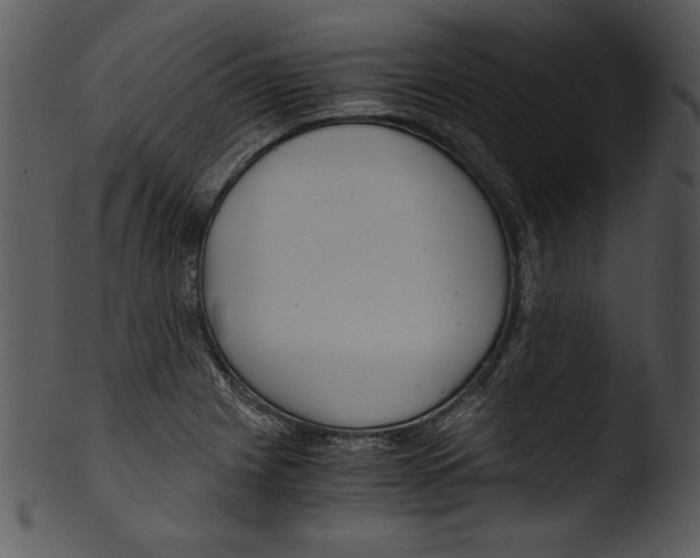 X0000103221225200809251128