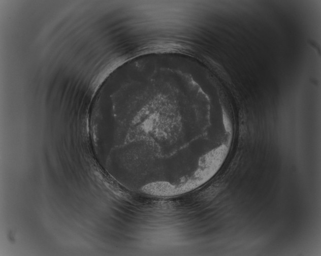 X0000103221226200809251128