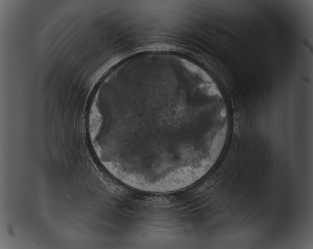 X0000103221229200809251128