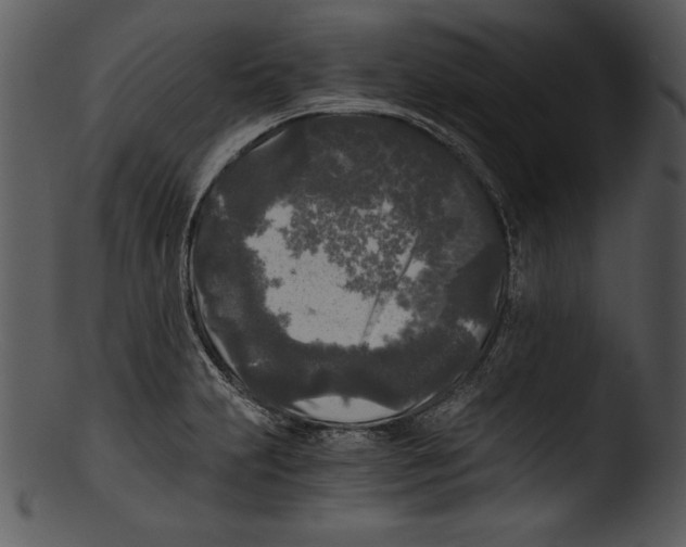 X0000103221231200809251128