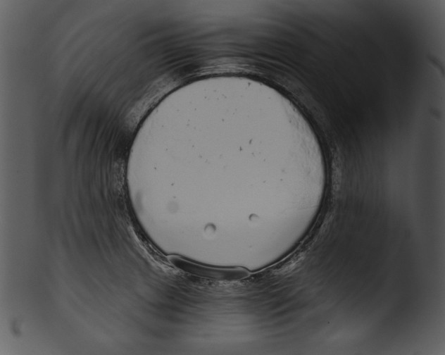 X0000103221233200809251128