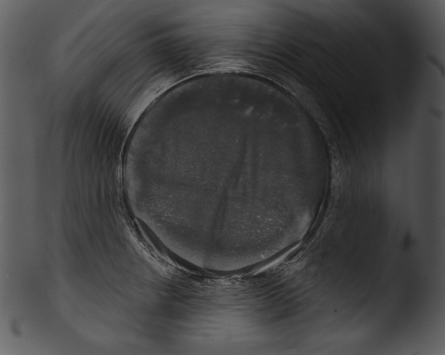 X0000103221234200809251128