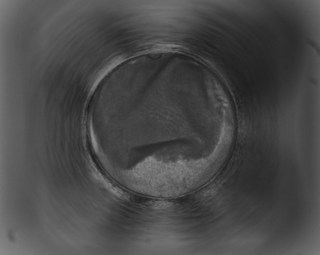 X0000103221235200809251128