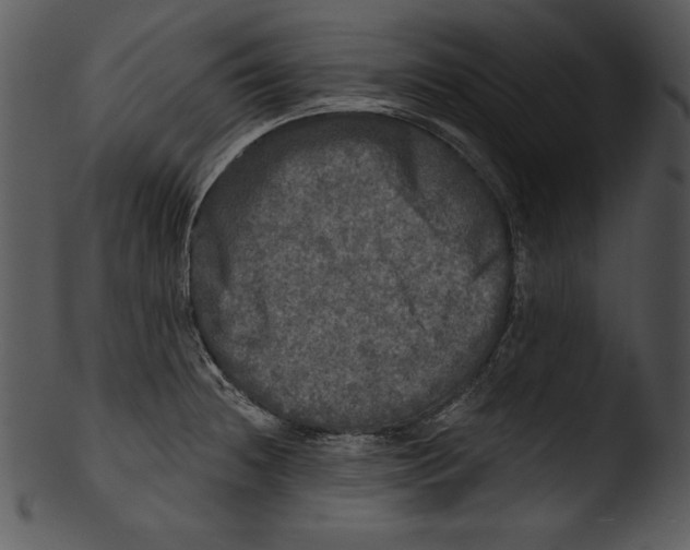 X0000103221236200809251128